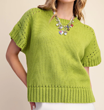 Open Knit Short Sleeve Sweater Top